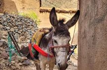 Atlas Mountains : Cooking Class with a Local Family