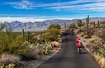Sunset Saguaro National Park, East Guided E-Bike Tour