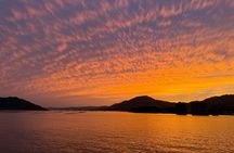 Hiroshima and Miyajima Private Tour with Hiroshima Native