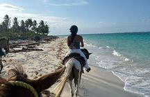Bali Beach Horse Riding combo with waterfall All Inclusive 