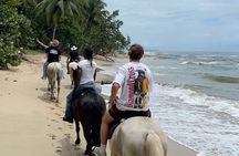 Bali Beach Horse Riding combo with waterfall All Inclusive 