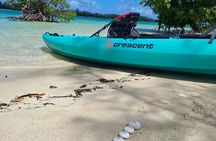 Island Life Escape Kayak, Snorkeling, Tropical Drinks, Beach