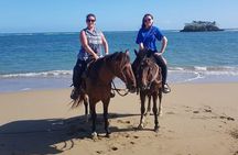 Horseback Riding on the Beach