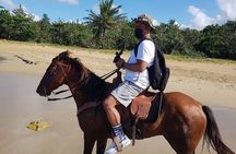 Horseback Riding on the Beach