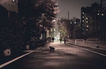 The Dark Side of Osaka Walking Tour