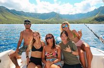 West Oahu Whale Watch & Turtle Snorkel with Whale Guarantee