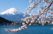 Mount Fuji & Lake Kawaguchiko Exclusive Tour: Beyond the Ordinary