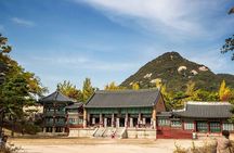  Gyeongbokgung Palace & Bukchon Village Walking Tour 