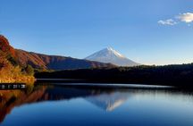 Shimizu Port to Mt. Fuji Guided Private Tour GREEN NUMBER PLATES