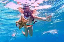 From Puerto Morelos: Luxury Catamaran Excursion to Isla Mujeres