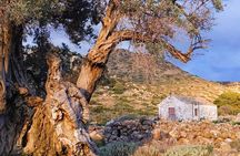 Private Aegina Island Tour with a Local Certified Guide