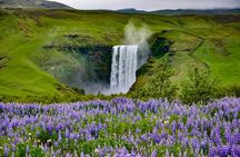 Full Day Small Group South Coast and Glacier Hike from Reykjavik