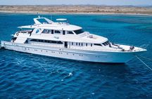 Snorkelling Adventure with Dugongs and Turtles in Marsa Mubarak