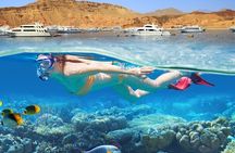Snorkelling Adventure with Dugongs and Turtles in Marsa Mubarak
