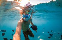 Snorkelling Adventure with Dugongs and Turtles in Marsa Mubarak