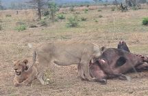 5 Days 4 Nights safari Mikumi national park & Selous game reserve