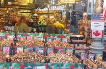 3 hour Private City Hop-On Hop-Off in Amsterdam