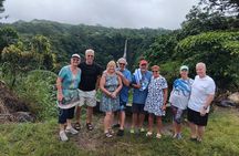Apia Cruise: To Sua Trench, Lalomanu Beach
