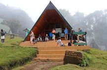 Kilimanjaro Day Hike via Marangu – Forest to Mandara Hut