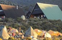 Kilimanjaro Day Hike via Marangu – Forest to Mandara Hut