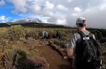 Kilimanjaro Day Hike via Marangu – Forest to Mandara Hut