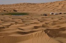2 Days 1 Night in the Sahara 75km Private