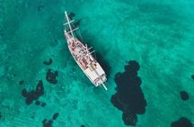 Sunset Dinner Cruise: Sunset, Swim, Drinks, and Dinner Onboard