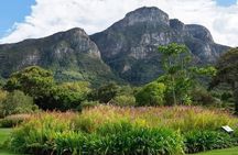 Kirstenbosch Botanical Gardens and Wine Tasting in Constantia