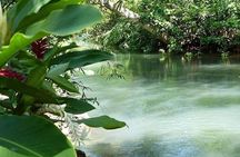 Portland Nature and Eco Tour Experience