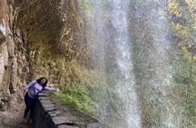 Silver Falls Waterfall Hiking Tour from Portland