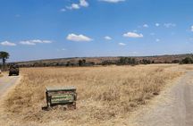 Day Trip Private Safari in Akagera Park with hotel pickup