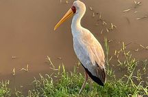 4 Days Safari Adventure in Amboseli and Tsavo 