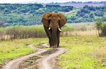 2 Day Private Safari in Akagera Park with hotel pickup