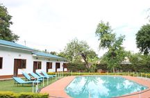 2 Days Private Budget Safari to Tarangire NP & Ngorongoro Crater 
