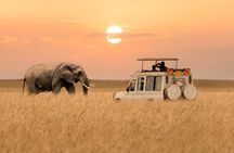 2 Days Private Budget Safari to Tarangire NP & Ngorongoro Crater 