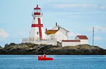 Whale Watching in Saint Andrews (NB) with Private Van Tour