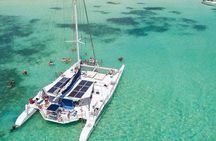 Bayahibe Catamaran: Isla Saona Cruise with Lunch & Open Bar