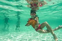 Bayahibe Catamaran: Isla Saona Cruise with Lunch & Open Bar