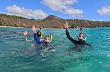 Hanauma Bay Guided Snorkel Tour (with guaranteed entrance time)