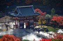 Private Osaka City Sightseeing Day Tour with Pick Up and Drop-off