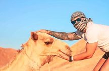 Super Safari Trip HurghadaToGo