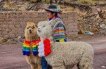 Mountain of Colors Vinincnever Full Day Tour from Cusco