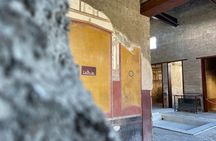From Sorrento Pompeii Guided Tour Small Group