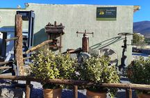 Spinalonga, Hidden Wonders, Agios Nikolaos & Olive Mill | Private