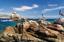 Experience the Clear Boat adventure & Cabo San Lucas City Tour
