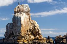 Experience the Clear Boat adventure & Cabo San Lucas City Tour