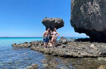#1 Beach in La Paz BALANDRA Swim w/ Sea Lions and Beach Lunch 
