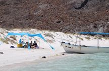 #1 Beach in La Paz BALANDRA Swim w/ Sea Lions and Beach Lunch 