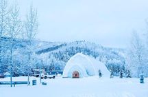 Chena Hot Spring Experience in Fairbanks