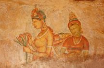Sigiriya and Dambulla Cave Temple Private Day Trip From Bentota